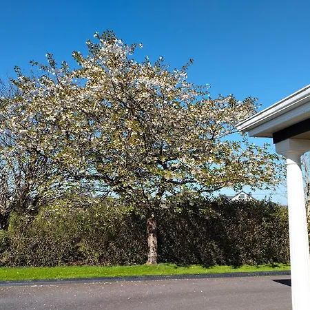 Sleepy Valley 民宿 Rathmore (Kerry)