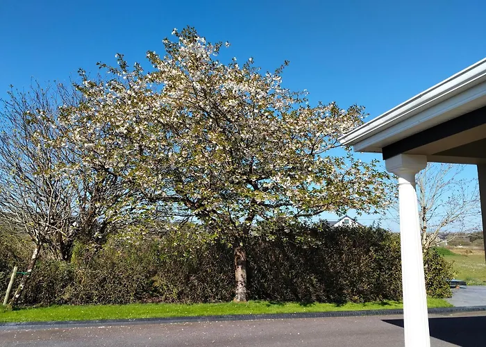 Sleepy Valley Δωμάτια σε οικογενειακή κατοικία Rathmore (Kerry)